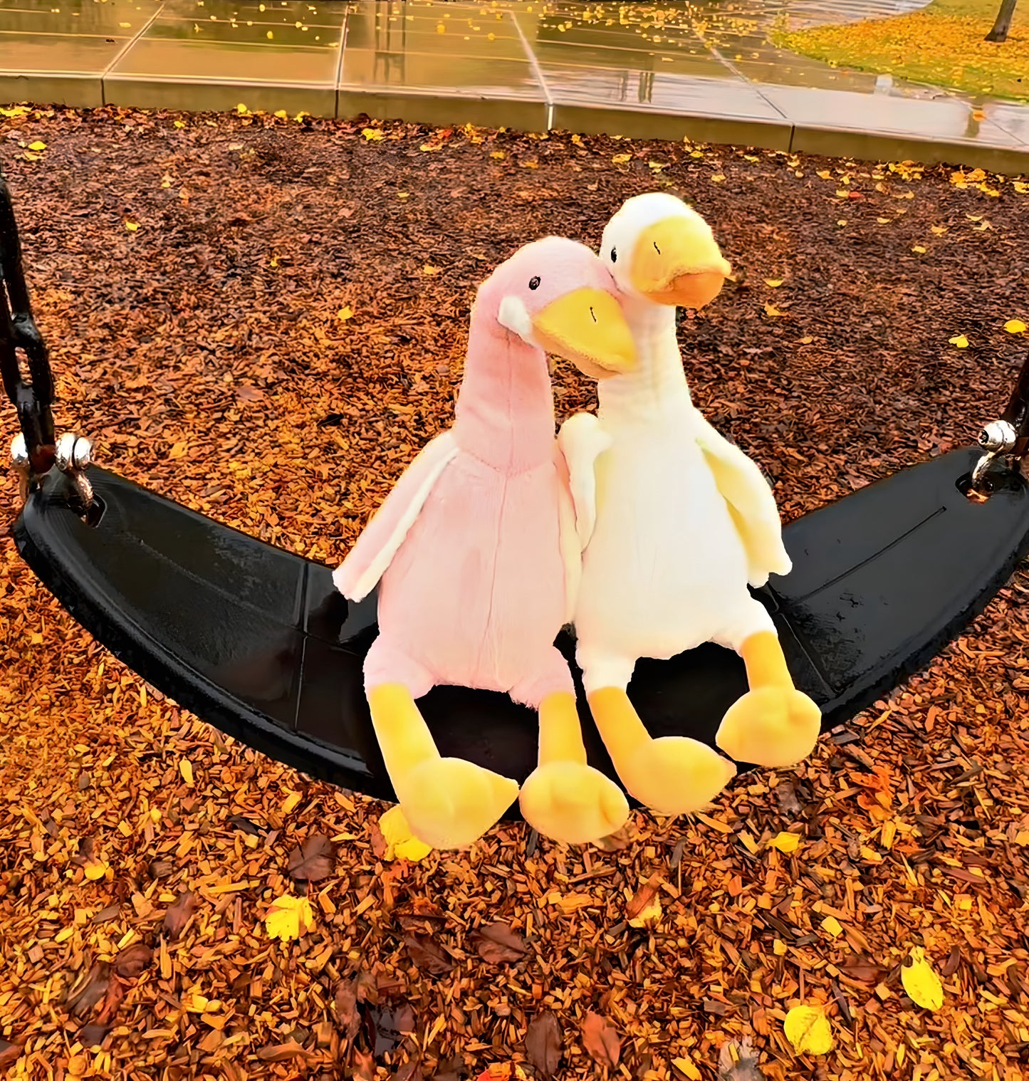 Better Halves "The Swans"